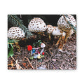 Fungi Funland Clothesline Canvas Print Whimsy