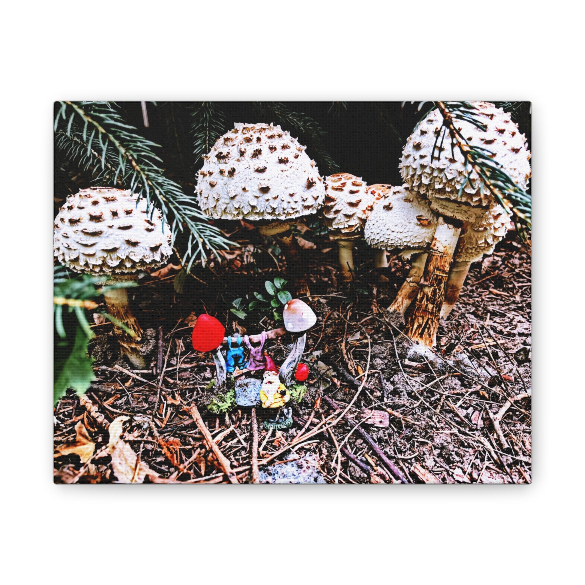 Fungi Funland Clothesline Canvas Print Whimsy