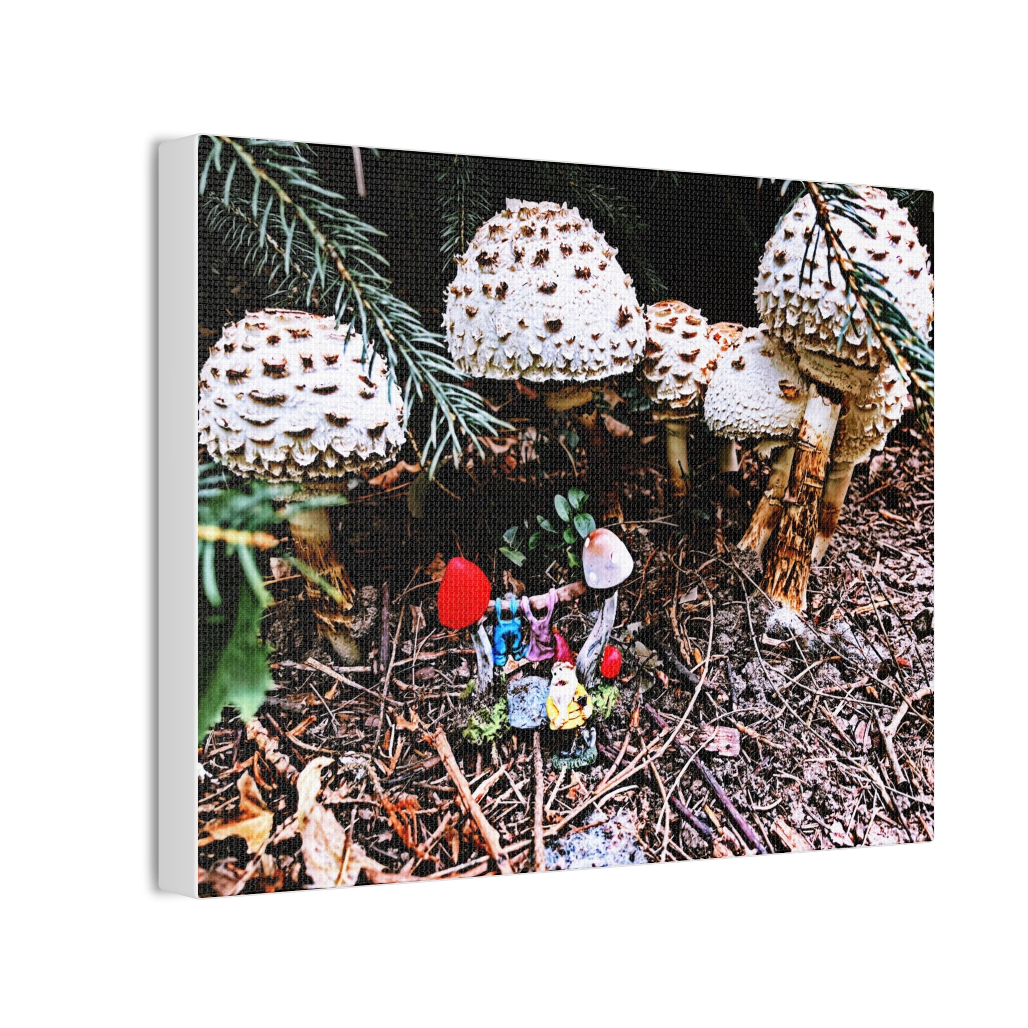 Fungi Funland Clothesline Canvas Print Whimsy