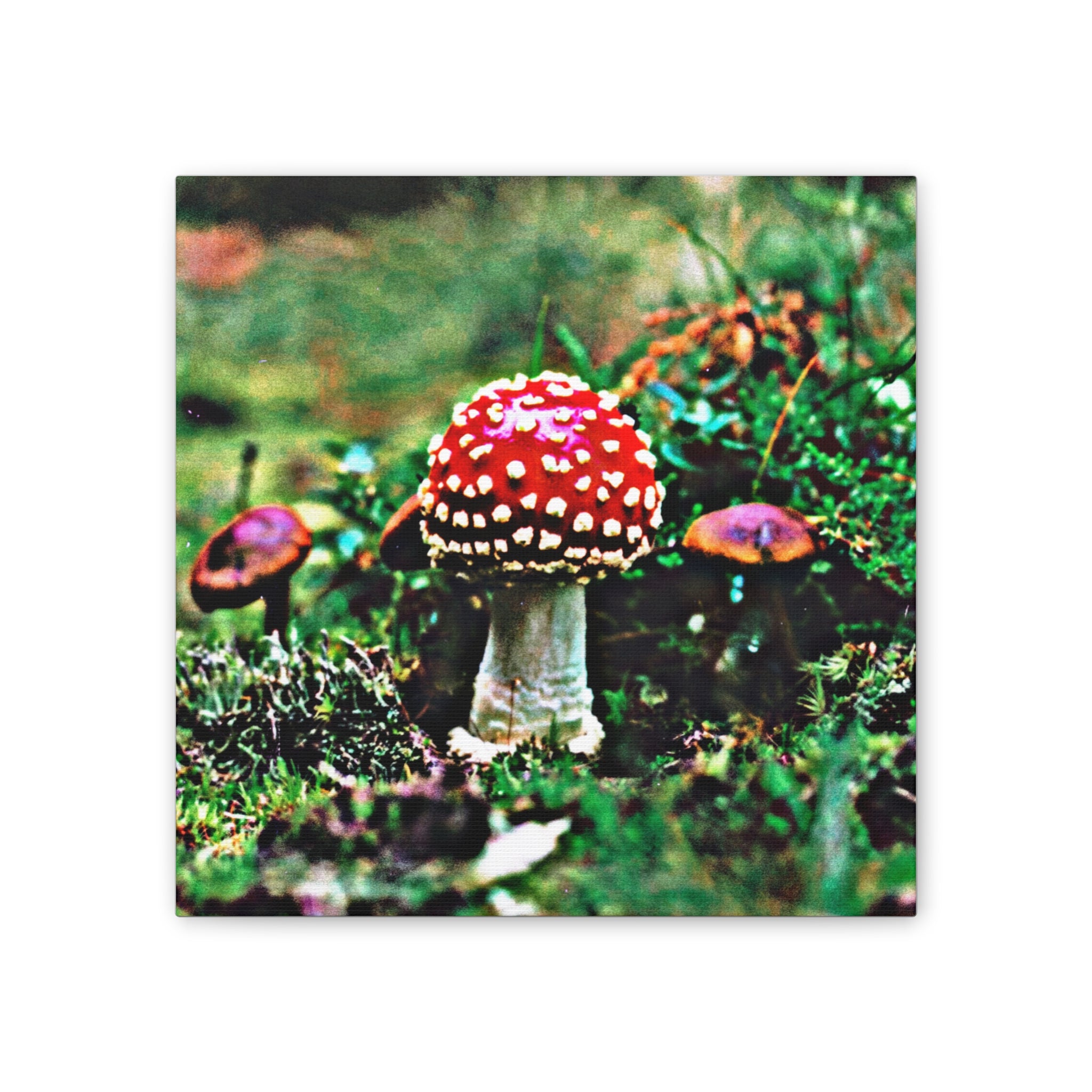 Amanita Tucked Away Canvas Wall Art – Vintage Red Fly Agaric Nature Print