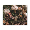 Fungi Funland Seesaw Games Canvas Print Whimsy