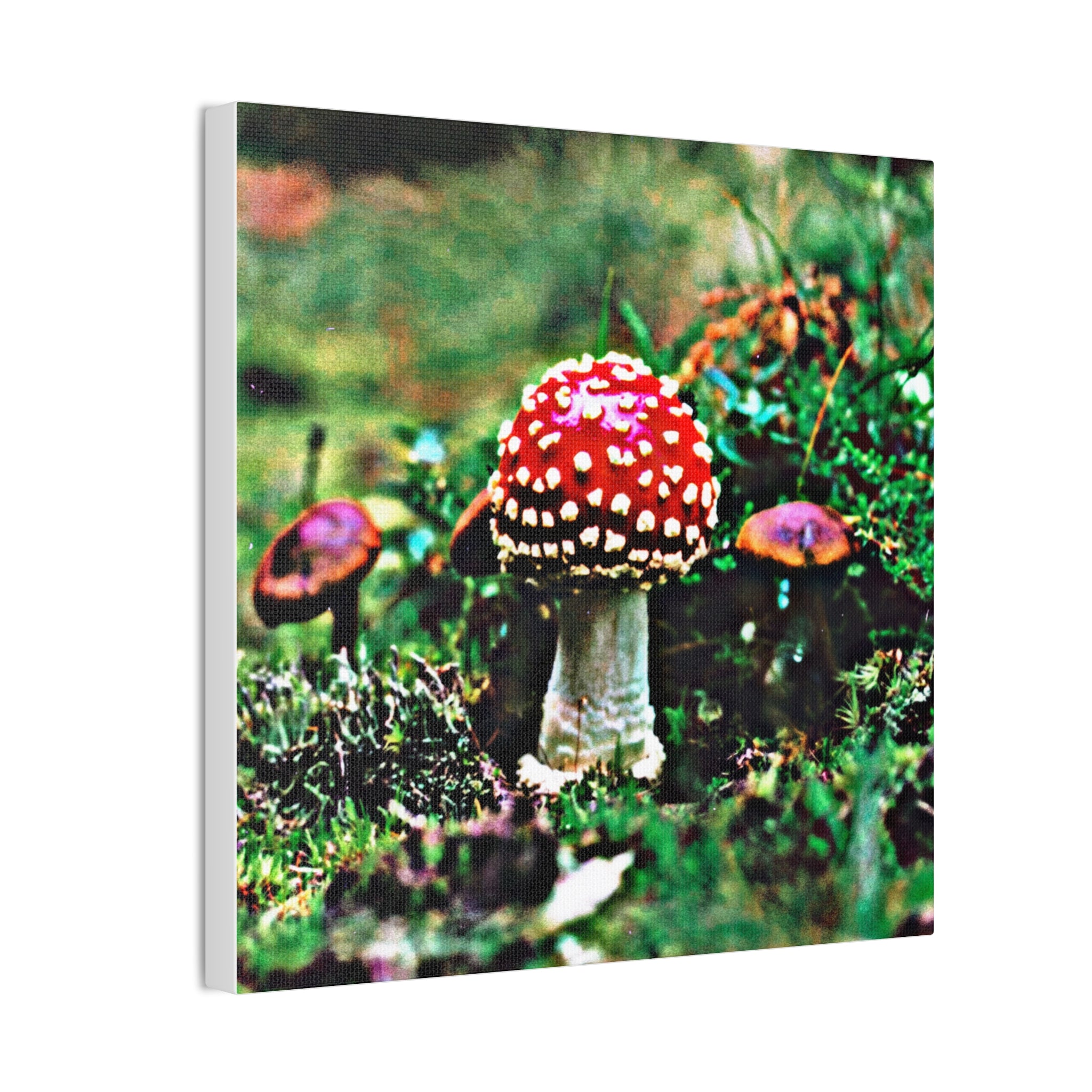 Amanita Tucked Away Canvas Wall Art – Vintage Red Fly Agaric Nature Print